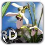 Nature Live Spring Flowers XL