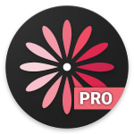 WomanLog Pro Calendar