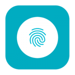 Fingerprint Gestures