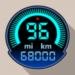 Speedometer & Odometer - TripMaster Car and Bike