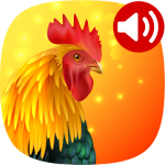 Animals Ringtones