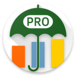 Budget Blitz Pro - money tracking and planning