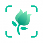 PictureThis Identify Plant, Flower, Weed and More
