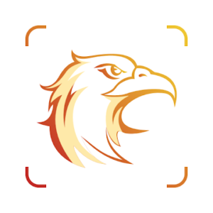 Picture Bird - Bird Identifier