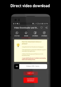 Video Downloader and Stories apk