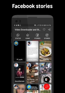 Video Downloader and Stories pro
