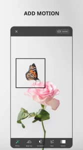 VIMAGE pro