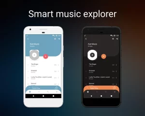 Frolomuse MP3 Player pro