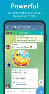Telegram pro