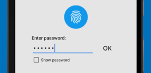 SafeInCloud Pro