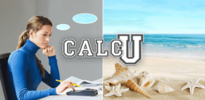 Stylish Calculator - CALCU