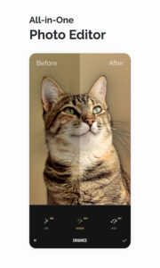Fotor Photo Editor apk
