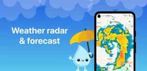 RainViewer