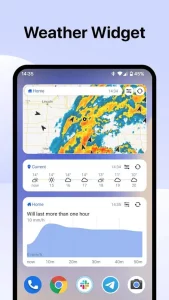 RainViewer pro