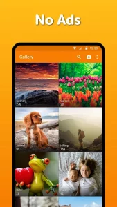 Simple Gallery apk