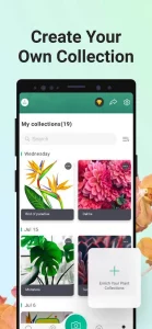 PictureThis mod
