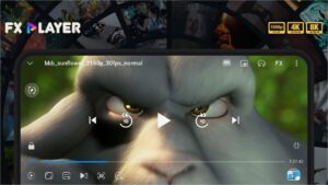 FX Player   Video All Formats