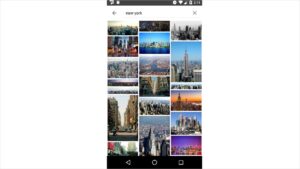 Image Search   ImageSearchMan