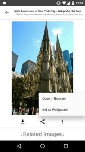 ImageSearchMan Mod