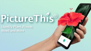 PictureThis   Plant Identifier