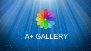 A+ Gallery   Photos & Videos