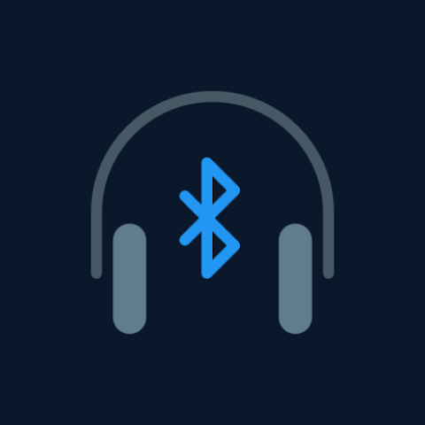 Bluetooth Codec Changer v1.6.5 build 1071 APK [Premium] [Latest]