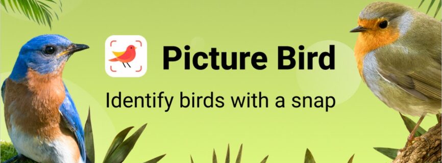 Picture Bird – Bird Identifier v2.9.26 MOD APK [Premium Unlocked] [Latest]