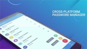 Password Manager SafeInCloud Pro