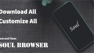 Soul Browser
