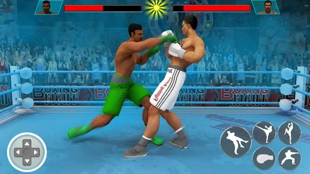 Punch Boxing Pro