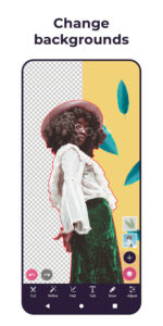 Pixomatic Pro