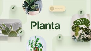 Planta   Care For Your Plants